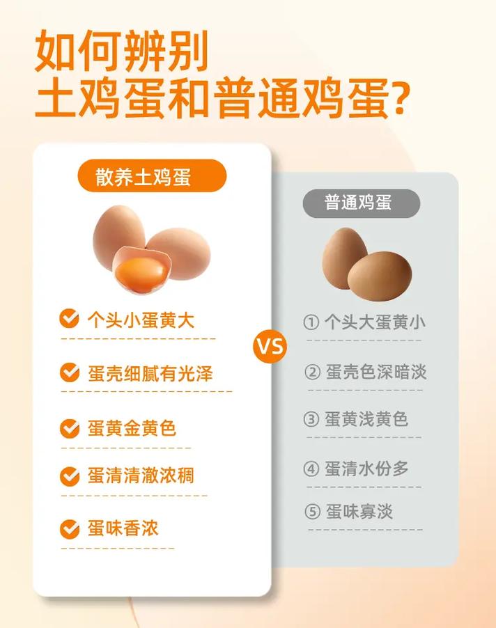 土鸡蛋的常识(土鸡蛋的种类)-第6张图片-牛逼常识网 土鸡蛋的常识(土鸡蛋的种类)-第6张图片-牛逼常识网