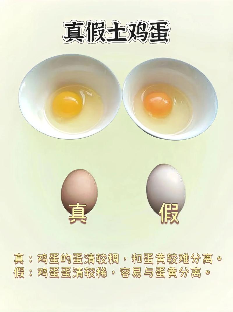土鸡蛋的常识(土鸡蛋的种类)-第7张图片-牛逼常识网 土鸡蛋的常识(土鸡蛋的种类)-第7张图片-牛逼常识网