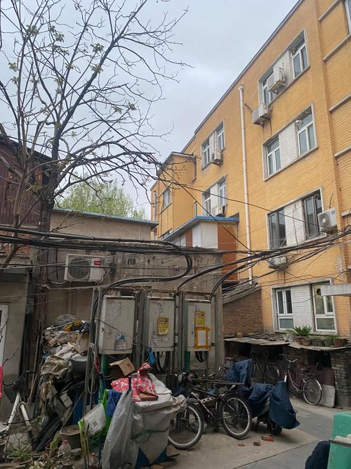 普查的小常识 - 普查时应注意哪些事项?-第5张图片-牛逼常识网 普查的小常识 - 普查时应注意哪些事项?-第5张图片-牛逼常识网