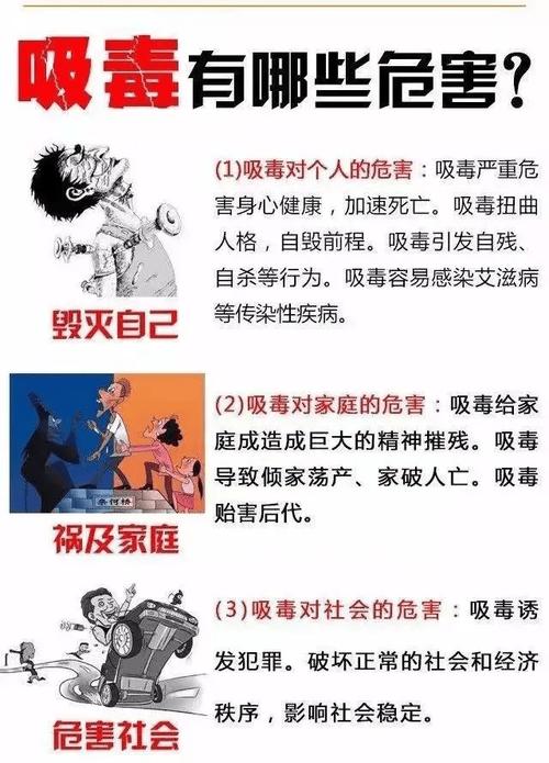 禁毒小常识概念(禁毒小知识 小常识)-第2张图片-牛逼常识网 禁毒小常识概念(禁毒小知识 小常识)-第2张图片-牛逼常识网