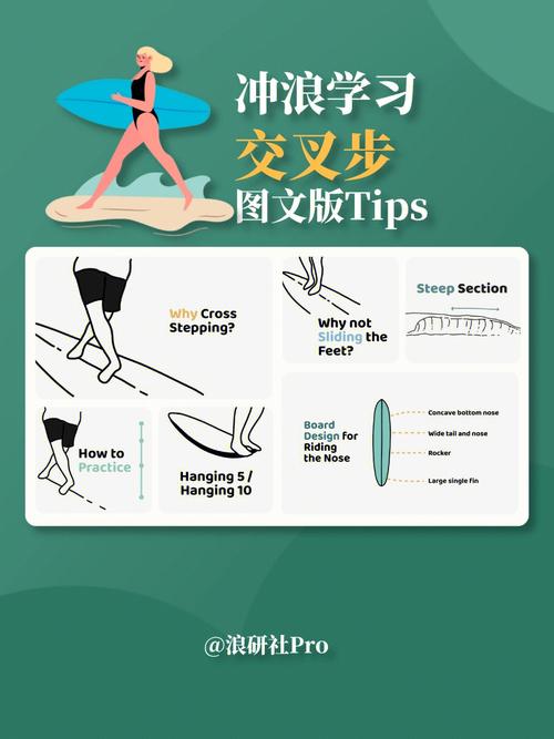 冲浪新手常识(冲浪技巧初学者)-第5张图片-牛逼常识网 冲浪新手常识(冲浪技巧初学者)-第5张图片-牛逼常识网