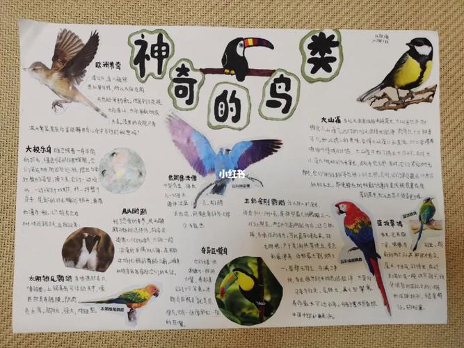 鸟的科学常识有哪些 - 鸟类的科普知识-第1张图片-牛逼常识网 鸟的科学常识有哪些 - 鸟类的科普知识-第1张图片-牛逼常识网