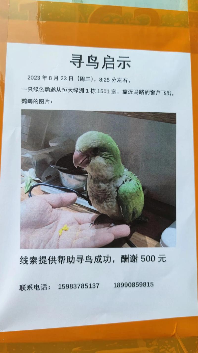 鸟的科学常识有哪些 - 鸟类的科普知识-第2张图片-牛逼常识网 鸟的科学常识有哪些 - 鸟类的科普知识-第2张图片-牛逼常识网