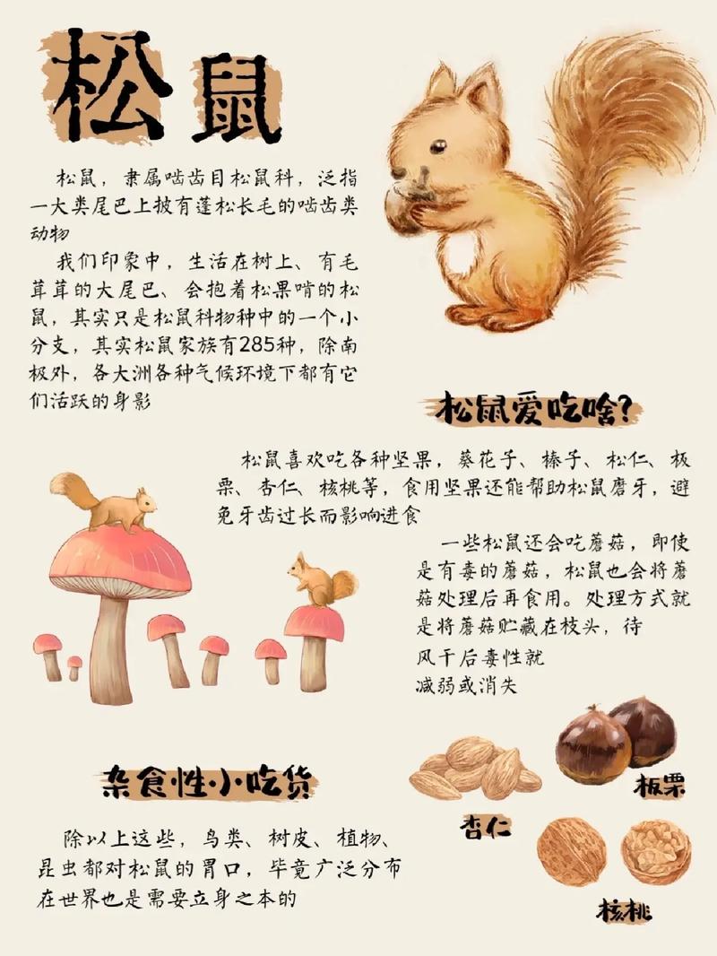 鸟的科学常识有哪些 - 鸟类的科普知识-第3张图片-牛逼常识网 鸟的科学常识有哪些 - 鸟类的科普知识-第3张图片-牛逼常识网