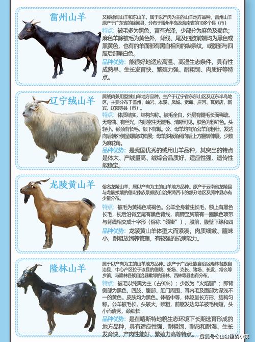 畜牧行业常识,畜牧基础知识大全-第4张图片-牛逼常识网 畜牧行业常识,畜牧基础知识大全-第4张图片-牛逼常识网