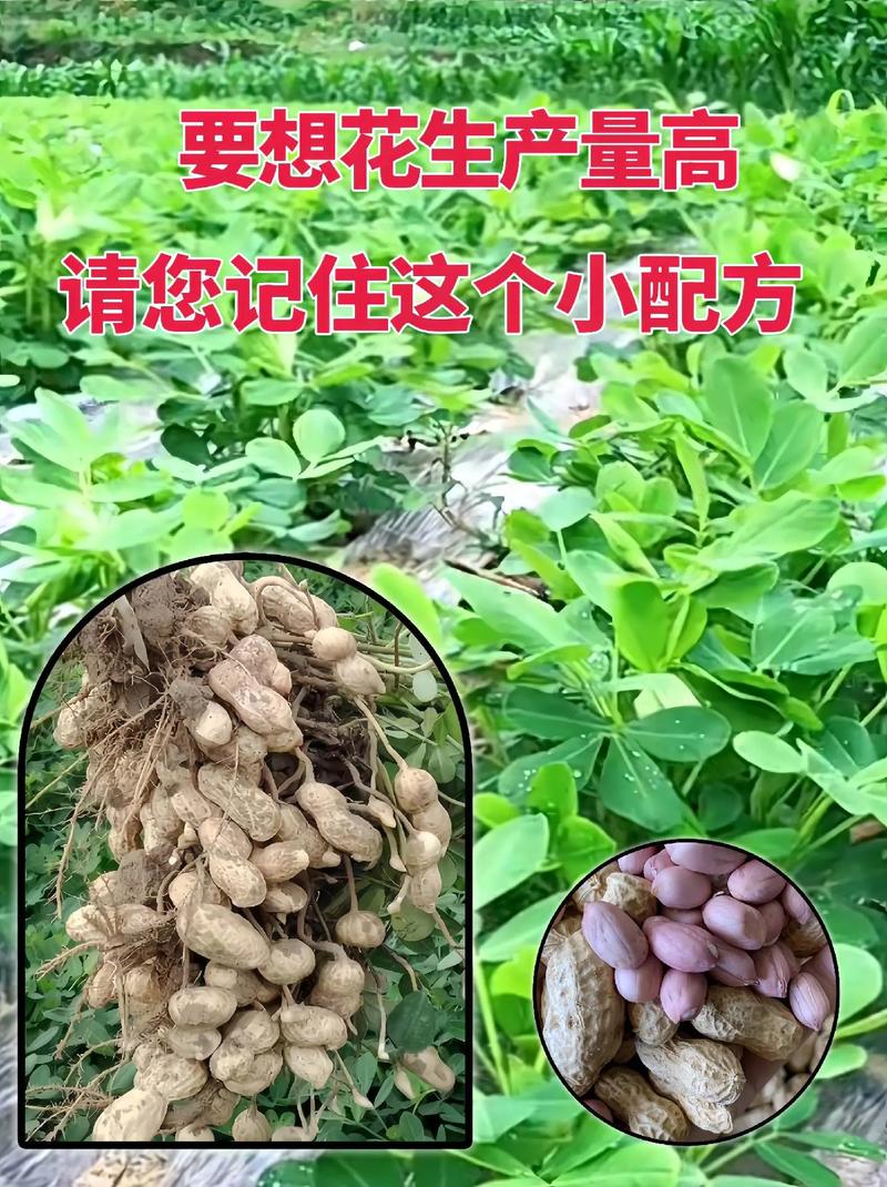 农村播种常识,农村播种玉米图片-第1张图片-牛逼常识网 农村播种常识,农村播种玉米图片-第1张图片-牛逼常识网
