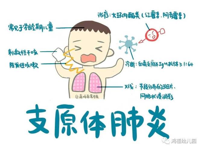 预防肺炎常识 - 预防肺炎的内容怎么写?-第4张图片-牛逼常识网 预防肺炎常识 - 预防肺炎的内容怎么写?-第4张图片-牛逼常识网