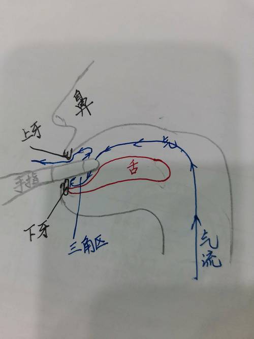 常识口哨18(常识口哨转变)-第4张图片-牛逼常识网 常识口哨18(常识口哨转变)-第4张图片-牛逼常识网