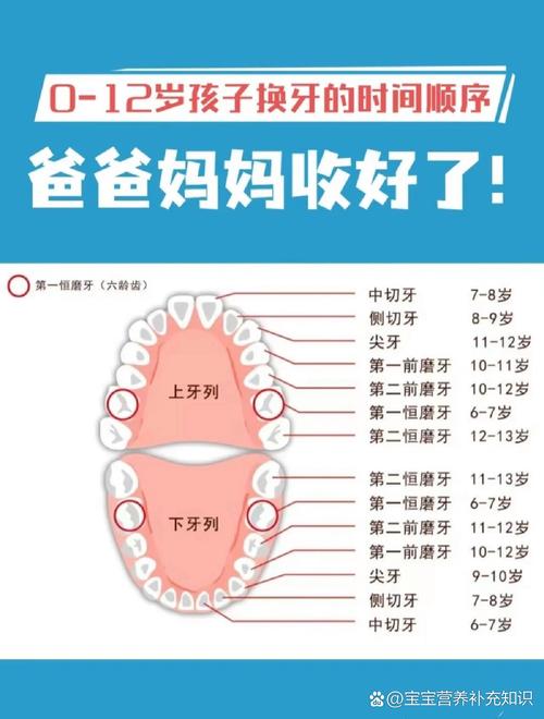 关于换牙常识,关于换牙我们需要知道什么-第3张图片-牛逼常识网 关于换牙常识,关于换牙我们需要知道什么-第3张图片-牛逼常识网
