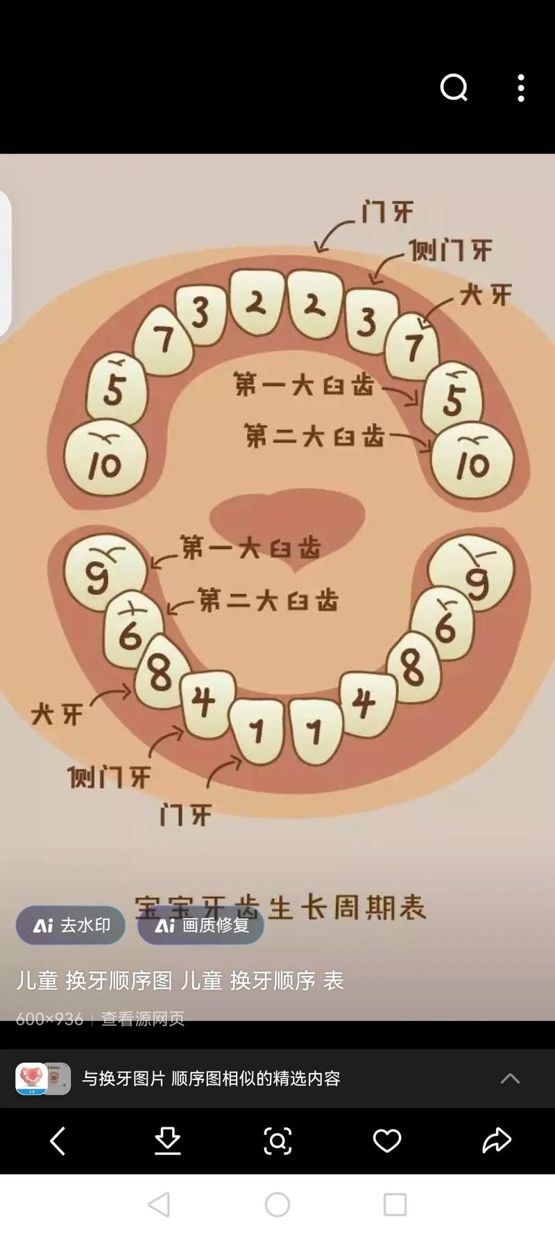 关于换牙常识,关于换牙我们需要知道什么-第5张图片-牛逼常识网 关于换牙常识,关于换牙我们需要知道什么-第5张图片-牛逼常识网