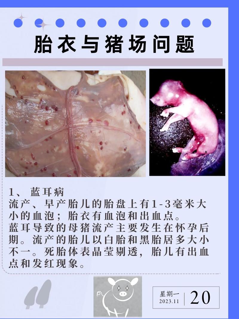 母猪疾病常识(母猪的疾病防治)-第6张图片-牛逼常识网 母猪疾病常识(母猪的疾病防治)-第6张图片-牛逼常识网