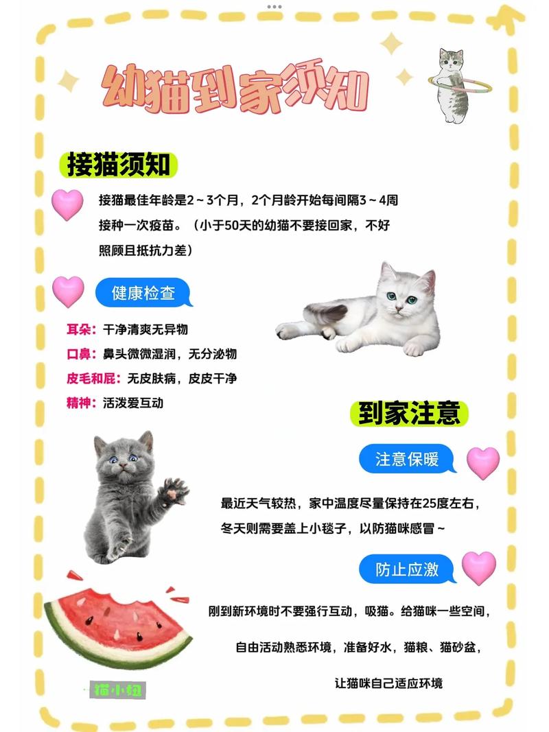 爬架常识知识 - 爬架的规范有哪些-第4张图片-牛逼常识网 爬架常识知识 - 爬架的规范有哪些-第4张图片-牛逼常识网