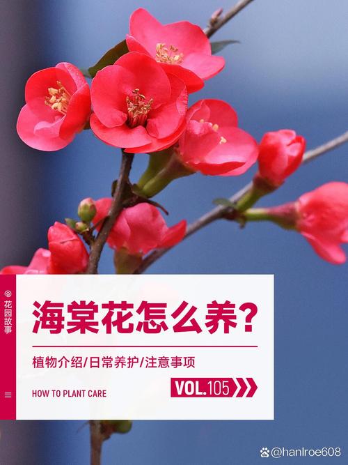 常识修改全文，常识修改软件-第3张图片-牛逼常识网