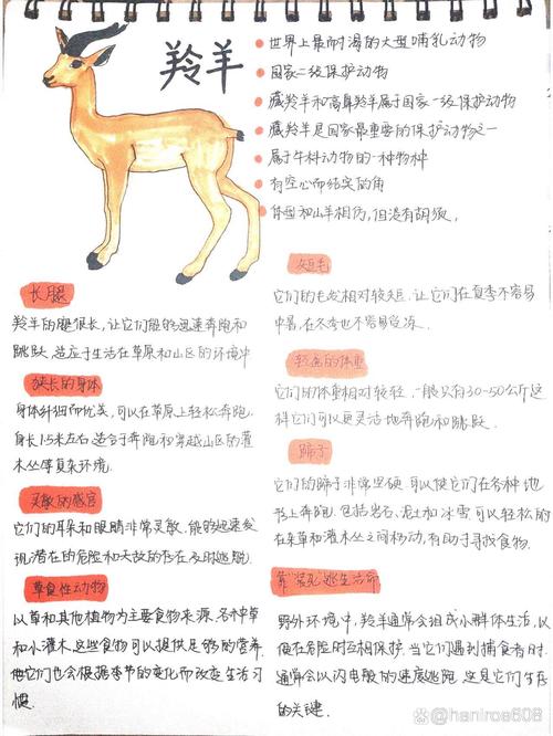 趣味动物常识 - 趣味动物常识手抄报-第4张图片-牛逼常识网 趣味动物常识 - 趣味动物常识手抄报-第4张图片-牛逼常识网