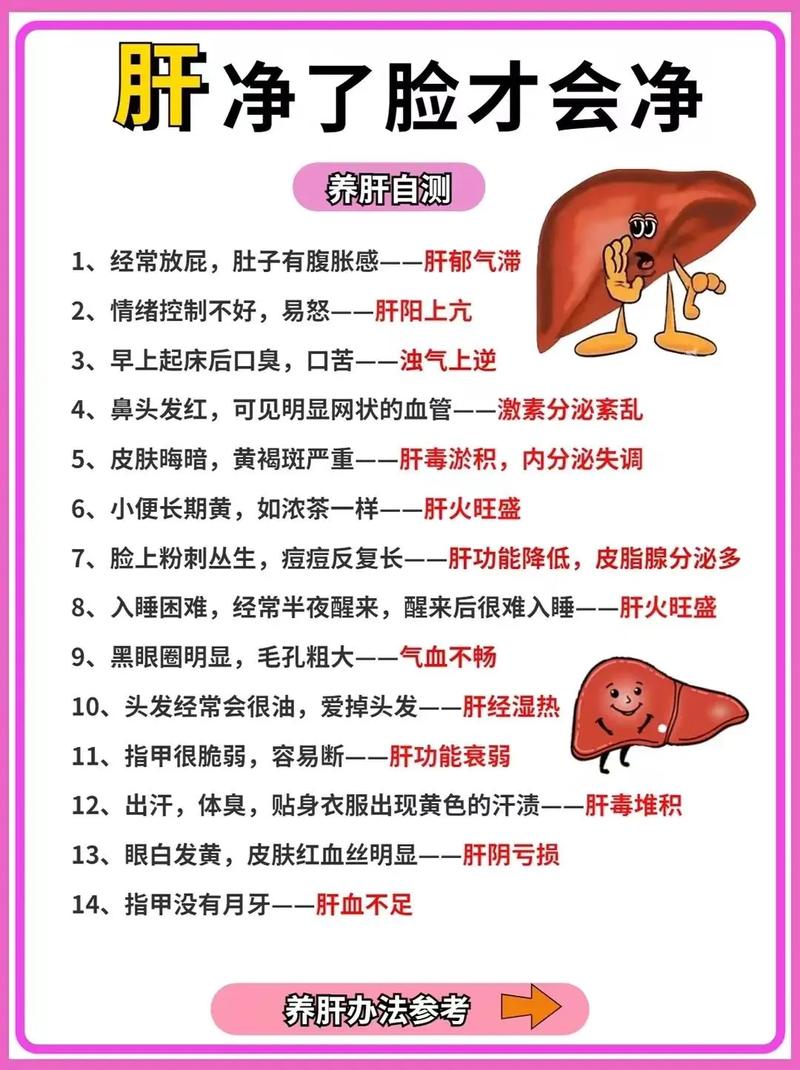 肝的工作常识 - 肝工作原理秒懂百科-第6张图片-牛逼常识网 肝的工作常识 - 肝工作原理秒懂百科-第6张图片-牛逼常识网
