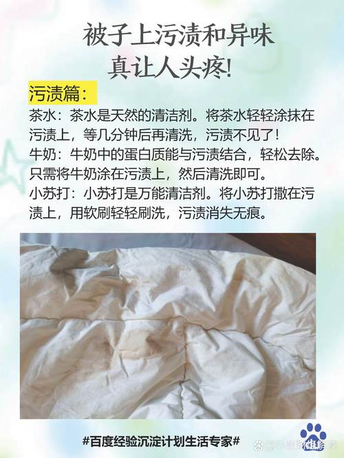 棉质水洗常识(棉水洗棉和纯棉哪个更好)-第3张图片-牛逼常识网 棉质水洗常识(棉水洗棉和纯棉哪个更好)-第3张图片-牛逼常识网