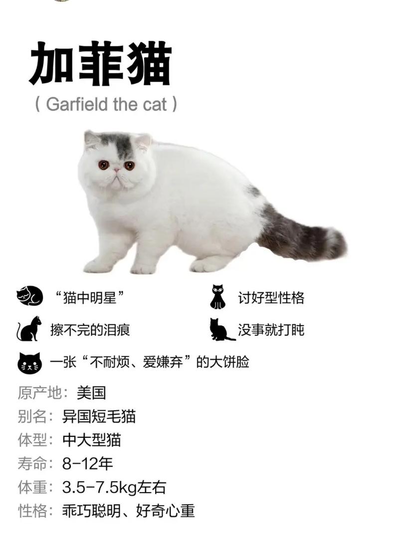 繁育英牛常识(养牛繁育)-第1张图片-牛逼常识网 繁育英牛常识(养牛繁育)-第1张图片-牛逼常识网