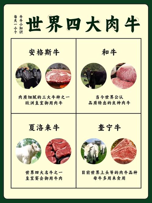 繁育英牛常识(养牛繁育)-第3张图片-牛逼常识网 繁育英牛常识(养牛繁育)-第3张图片-牛逼常识网