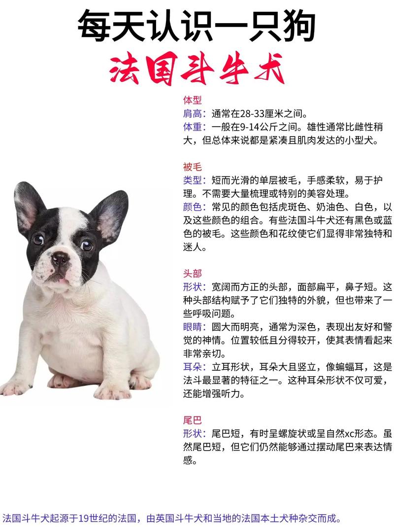 繁育英牛常识(养牛繁育)-第5张图片-牛逼常识网 繁育英牛常识(养牛繁育)-第5张图片-牛逼常识网