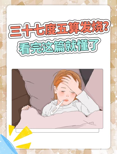 了解体温常识 - 体温的目的和注意事项-第4张图片-牛逼常识网 了解体温常识 - 体温的目的和注意事项-第4张图片-牛逼常识网