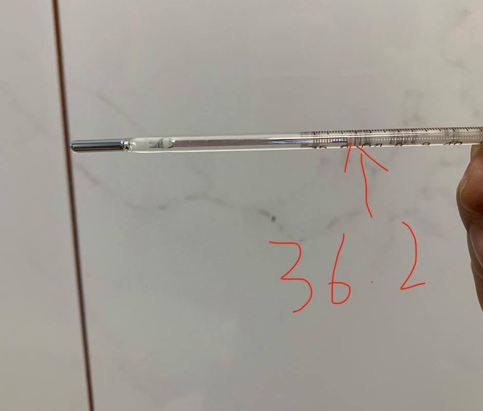 了解体温常识 - 体温的目的和注意事项-第5张图片-牛逼常识网 了解体温常识 - 体温的目的和注意事项-第5张图片-牛逼常识网
