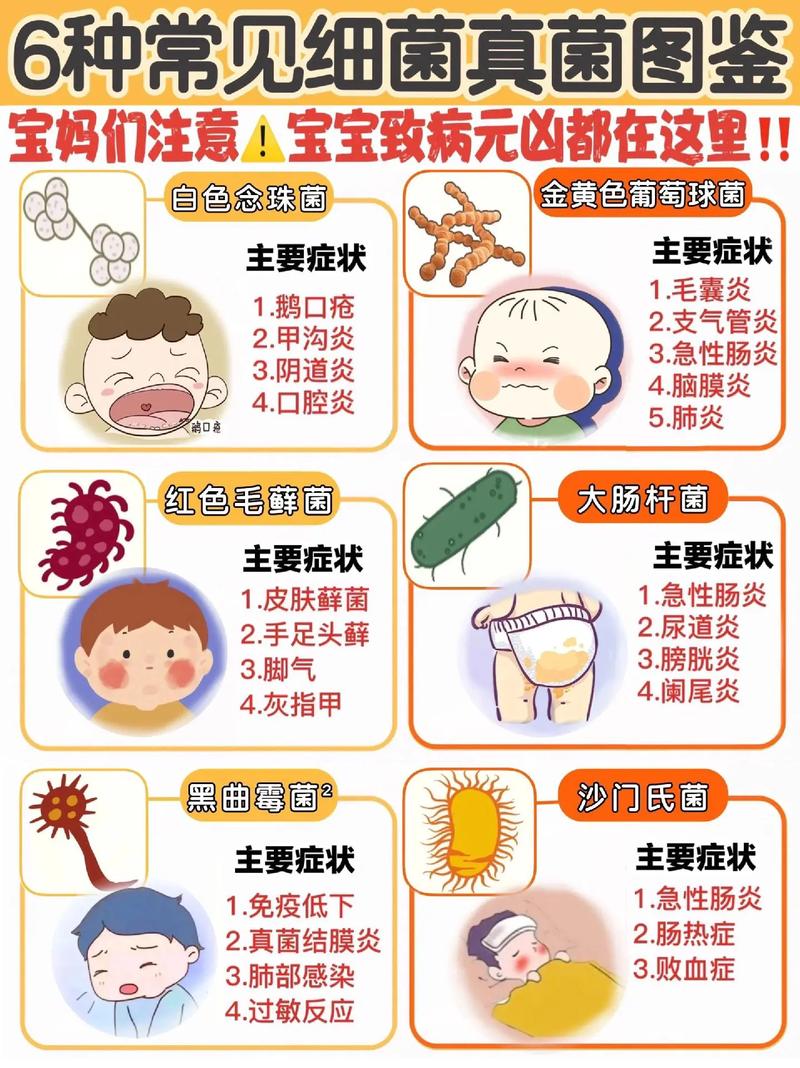 小儿病理常识,小儿科病理特点-第5张图片-牛逼常识网 小儿病理常识,小儿科病理特点-第5张图片-牛逼常识网