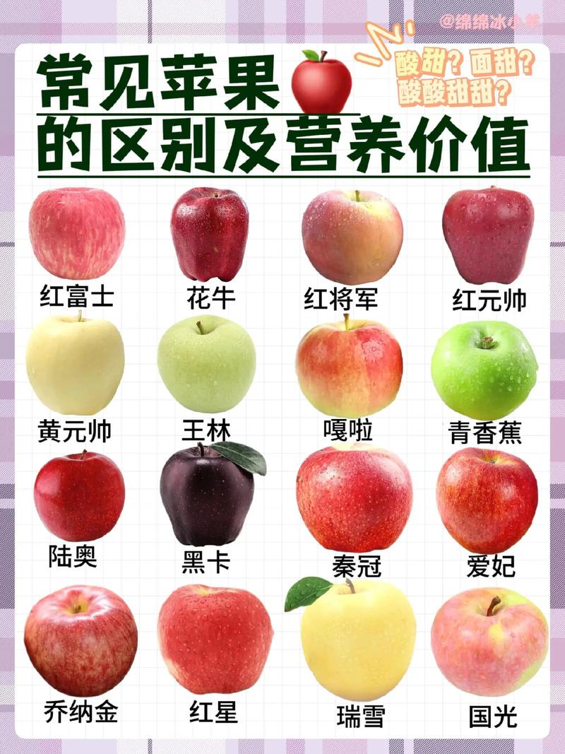 吃苹果小常识(吃苹果有什么讲究吗)-第5张图片-牛逼常识网 吃苹果小常识(吃苹果有什么讲究吗)-第5张图片-牛逼常识网