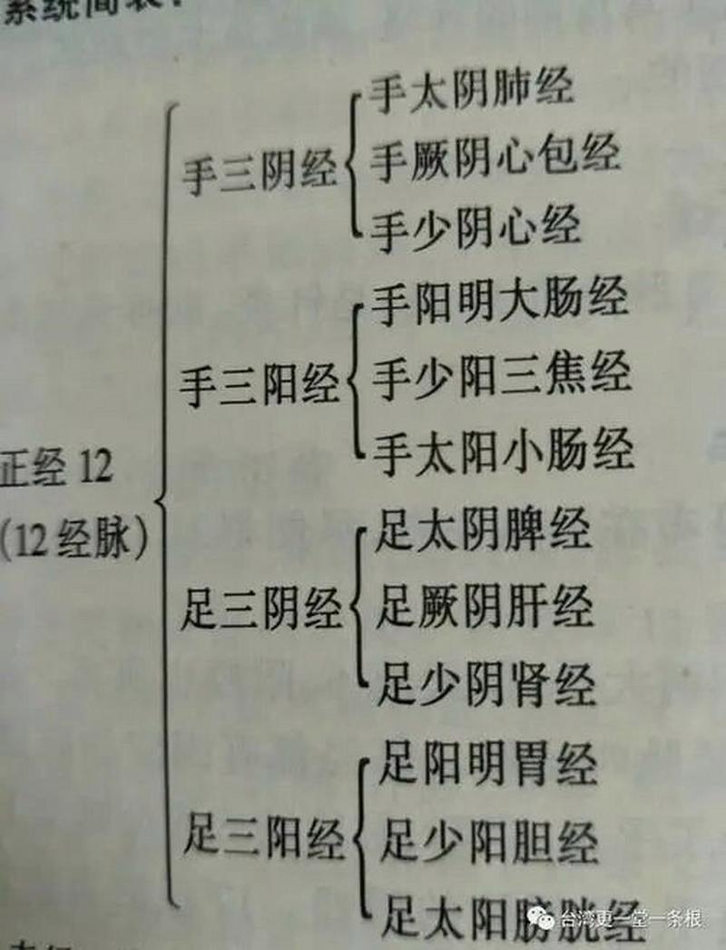 儒家经学常识,儒家 经学-第5张图片-牛逼常识网 儒家经学常识,儒家 经学-第5张图片-牛逼常识网