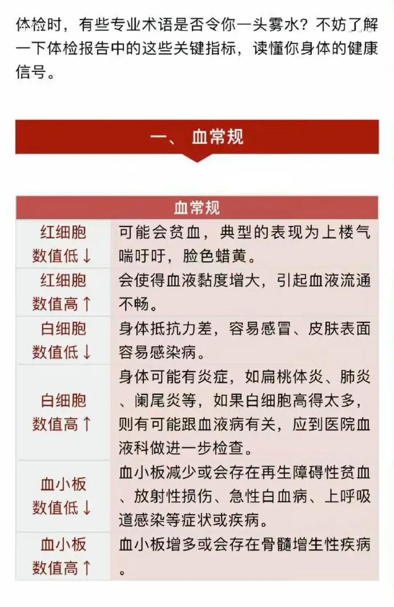 体检常识总结,体检常识总结与反思-第5张图片-牛逼常识网 体检常识总结,体检常识总结与反思-第5张图片-牛逼常识网