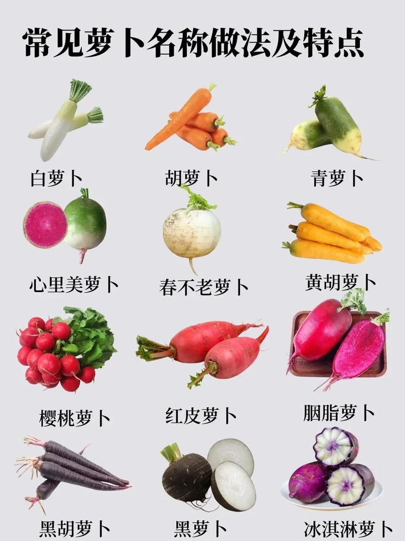 萝卜的小常识,萝卜的讲解-第6张图片-牛逼常识网 萝卜的小常识,萝卜的讲解-第6张图片-牛逼常识网