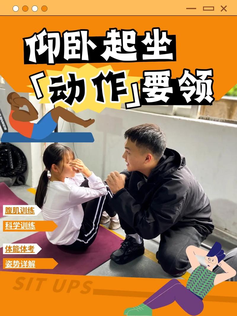 仰卧起坐常识(仰卧起坐的几个知识点)-第3张图片-牛逼常识网 仰卧起坐常识(仰卧起坐的几个知识点)-第3张图片-牛逼常识网