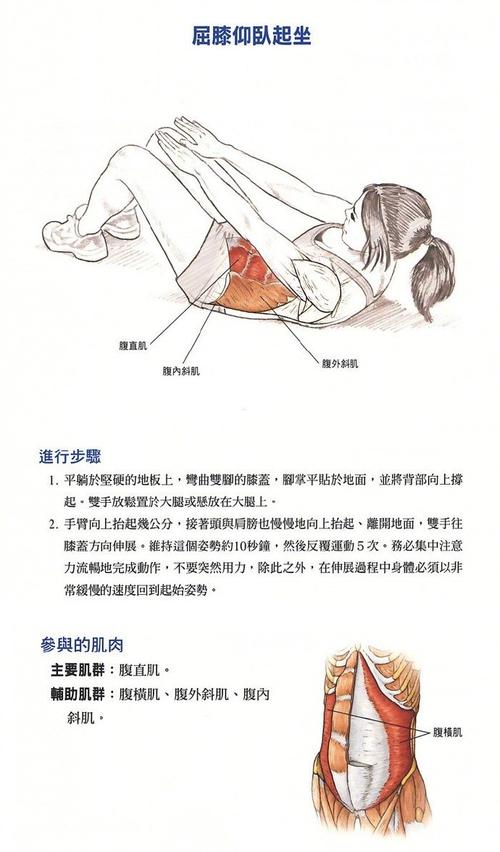 仰卧起坐常识(仰卧起坐的几个知识点)-第5张图片-牛逼常识网 仰卧起坐常识(仰卧起坐的几个知识点)-第5张图片-牛逼常识网