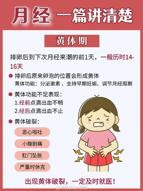 小白医学常识(医学小常识学医必备)-第2张图片-牛逼常识网 小白医学常识(医学小常识学医必备)-第2张图片-牛逼常识网