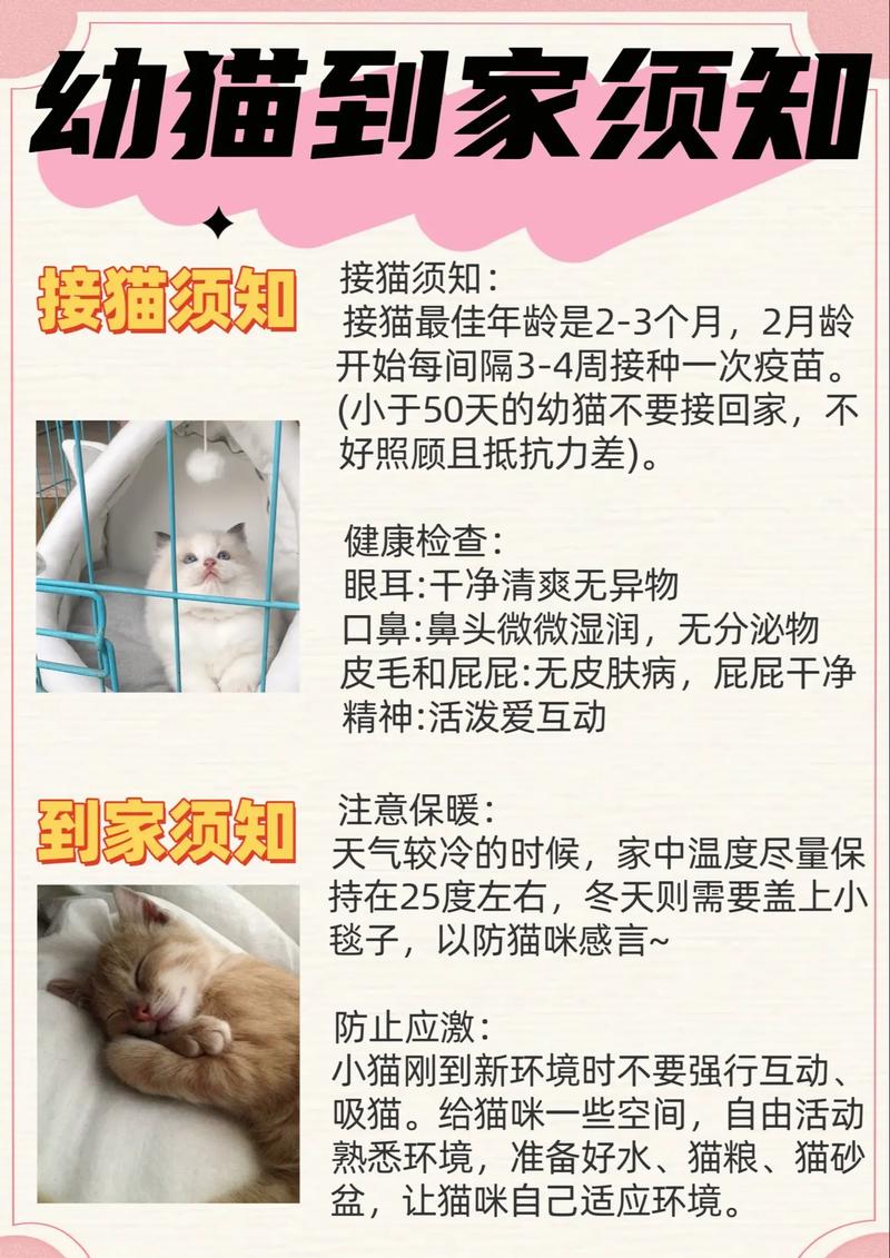 宠物医护常识 - 宠物医疗常识-第1张图片-牛逼常识网 宠物医护常识 - 宠物医疗常识-第1张图片-牛逼常识网
