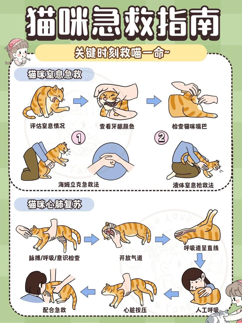 宠物医护常识 - 宠物医疗常识-第3张图片-牛逼常识网 宠物医护常识 - 宠物医疗常识-第3张图片-牛逼常识网