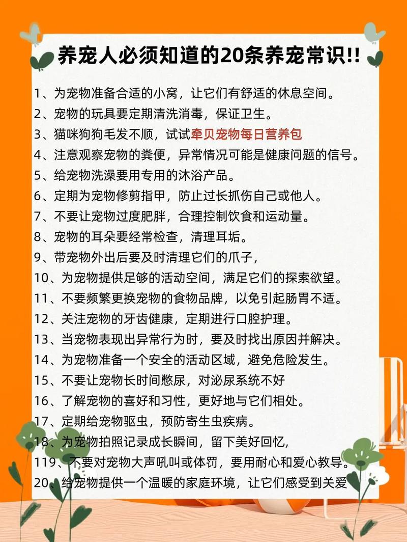 宠物医护常识 - 宠物医疗常识-第5张图片-牛逼常识网 宠物医护常识 - 宠物医疗常识-第5张图片-牛逼常识网