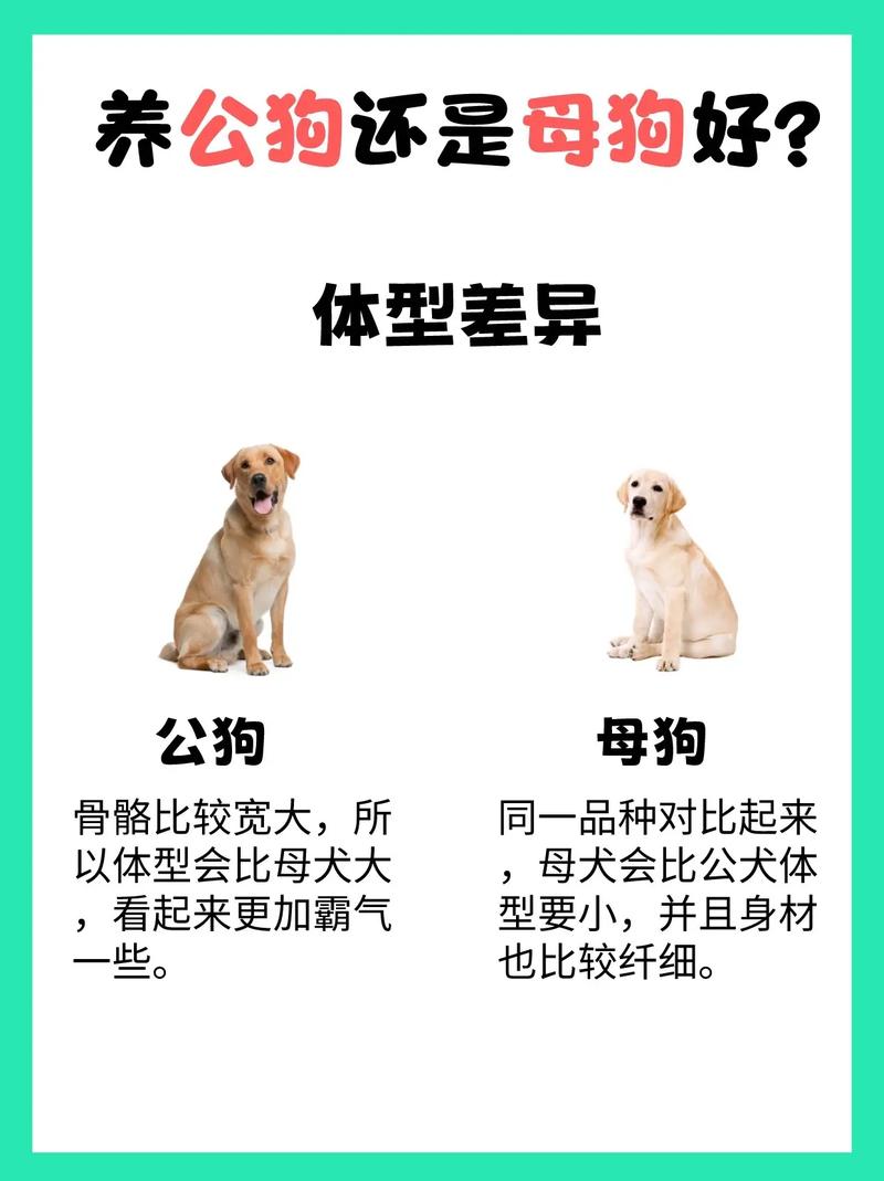 性别区分常识 - 性别性别-第6张图片-牛逼常识网 性别区分常识 - 性别性别-第6张图片-牛逼常识网