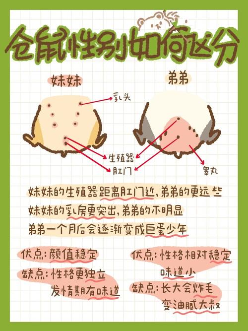 性别区分常识 - 性别性别-第7张图片-牛逼常识网 性别区分常识 - 性别性别-第7张图片-牛逼常识网