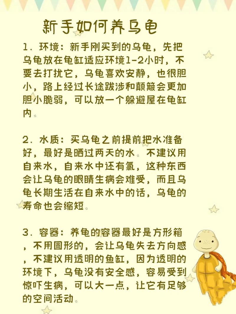 养龟的100个常识（养龟必知道的小知识）