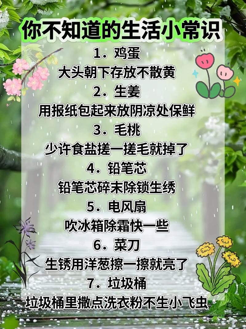 不懂生活常识,不懂生活常识会怎么样-第4张图片-牛逼常识网 不懂生活常识,不懂生活常识会怎么样-第4张图片-牛逼常识网