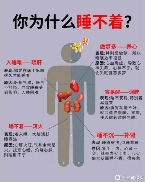 好睡眠小常识(睡眠小常识知识积累笔记)-第4张图片-牛逼常识网 好睡眠小常识(睡眠小常识知识积累笔记)-第4张图片-牛逼常识网