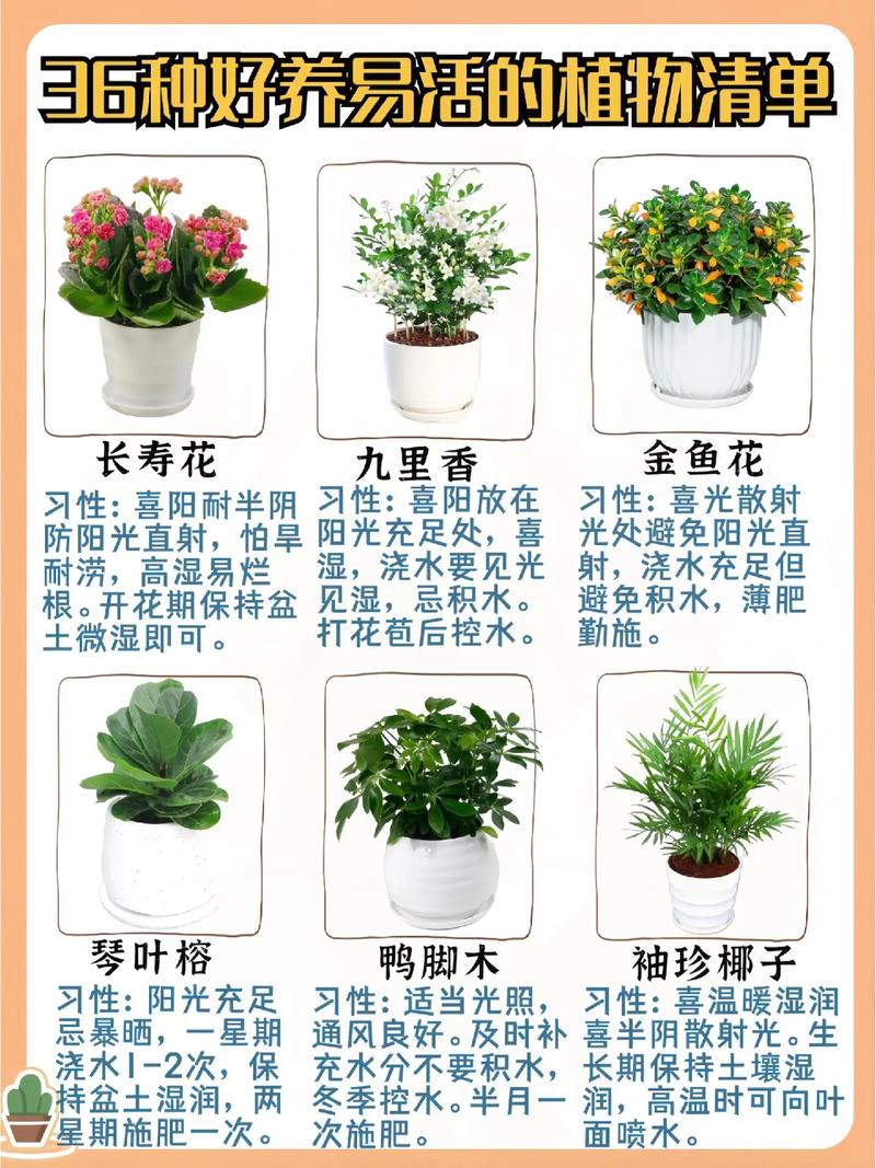 如何种花常识,怎么种花?需要注意什么-第3张图片-牛逼常识网 如何种花常识,怎么种花?需要注意什么-第3张图片-牛逼常识网