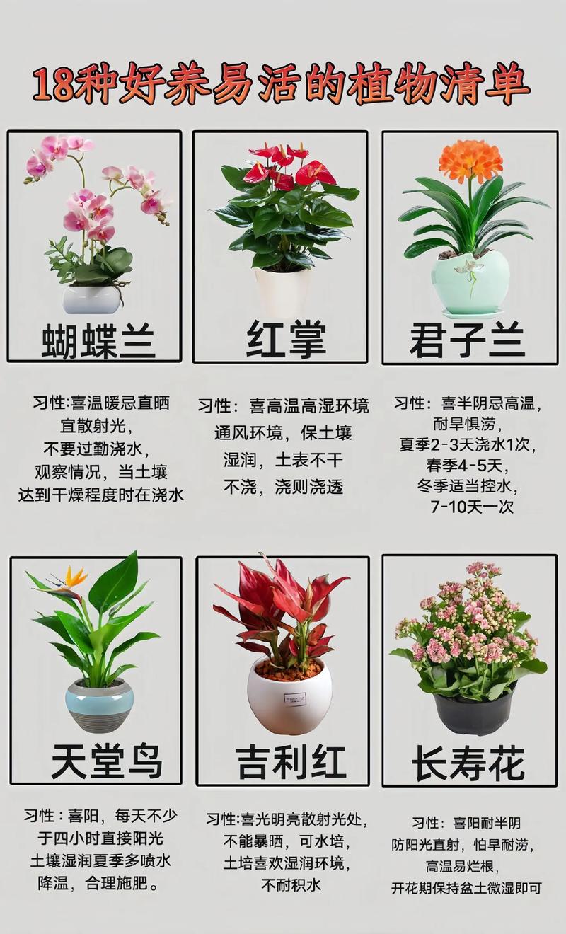 如何种花常识,怎么种花?需要注意什么-第7张图片-牛逼常识网 如何种花常识,怎么种花?需要注意什么-第7张图片-牛逼常识网