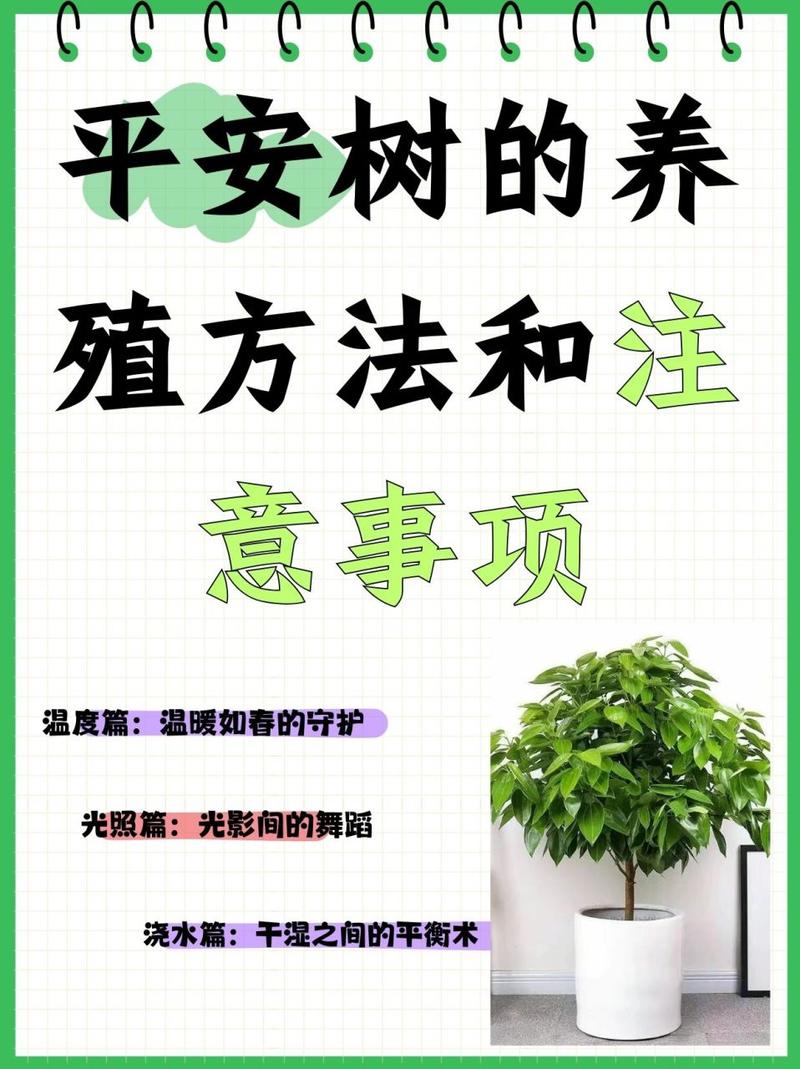 盆景施肥常识 - 盆景如何施肥长得快-第8张图片-牛逼常识网 盆景施肥常识 - 盆景如何施肥长得快-第8张图片-牛逼常识网
