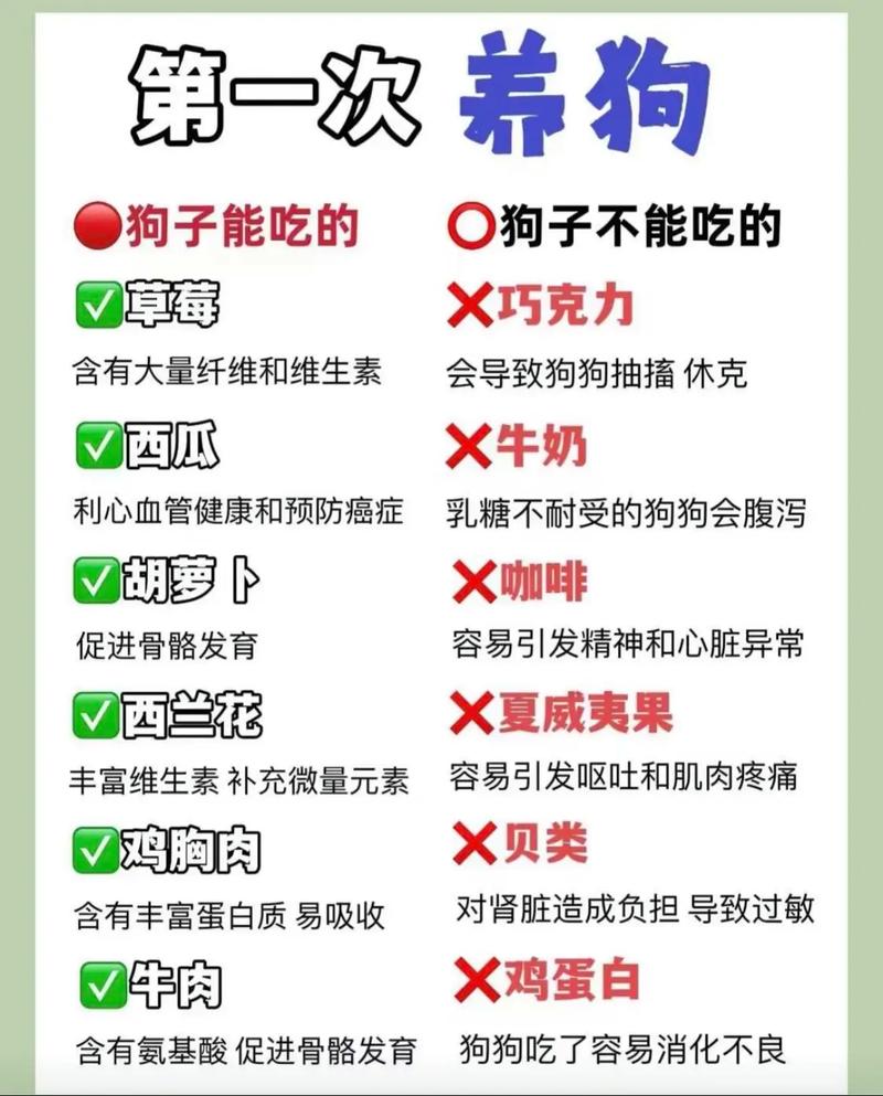 宠物必备常识(宠物必备常识书籍)-第8张图片-牛逼常识网 宠物必备常识(宠物必备常识书籍)-第8张图片-牛逼常识网