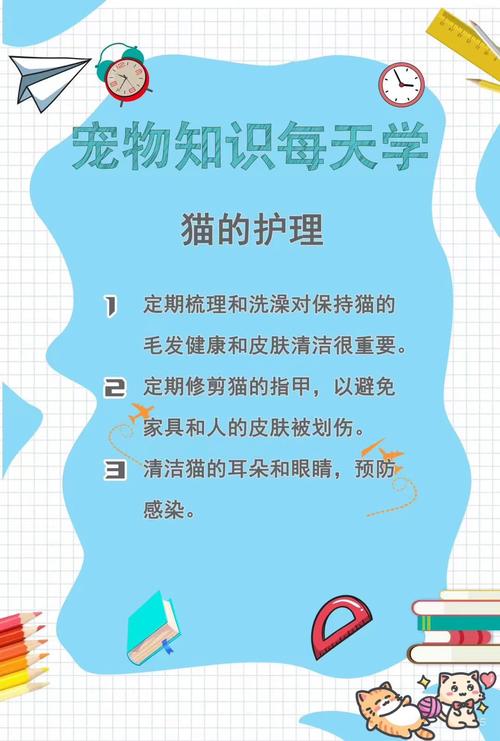宠物医院常识,宠物医院常识大全-第2张图片-牛逼常识网 宠物医院常识,宠物医院常识大全-第2张图片-牛逼常识网