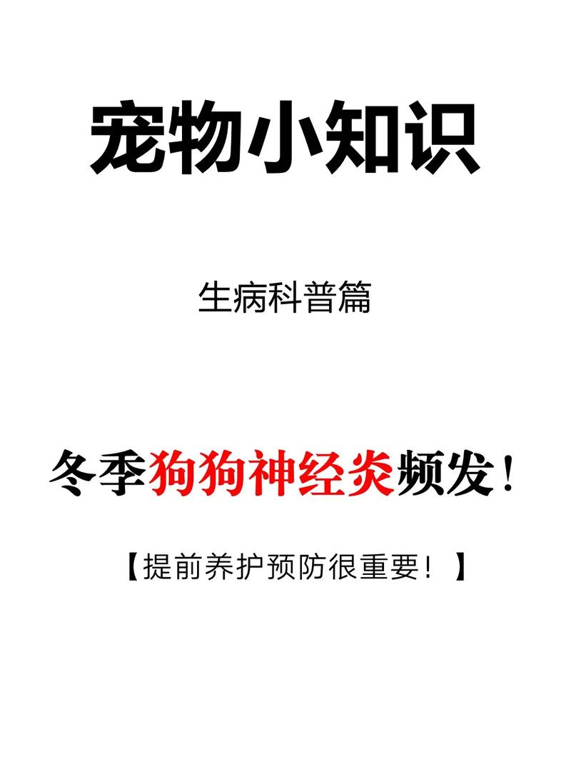 宠物医院常识,宠物医院常识大全-第1张图片-牛逼常识网 宠物医院常识,宠物医院常识大全-第1张图片-牛逼常识网