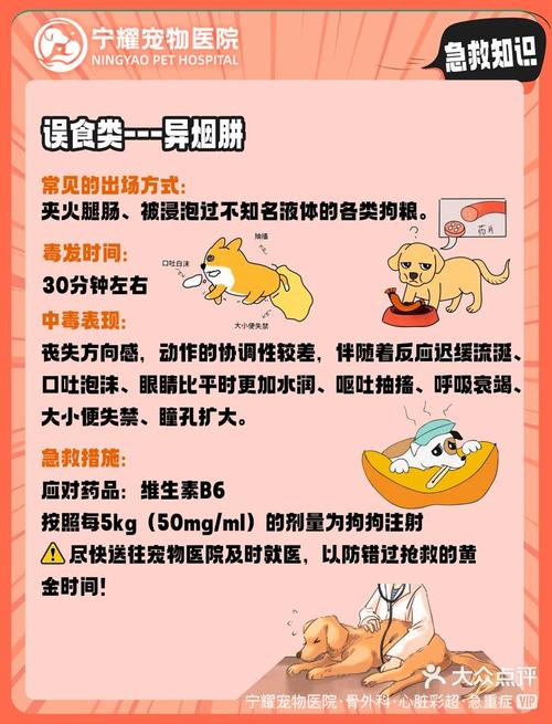 宠物医院常识,宠物医院常识大全-第3张图片-牛逼常识网 宠物医院常识,宠物医院常识大全-第3张图片-牛逼常识网