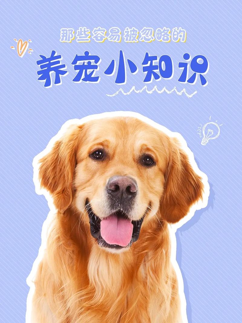 宠物医院常识,宠物医院常识大全-第4张图片-牛逼常识网 宠物医院常识,宠物医院常识大全-第4张图片-牛逼常识网