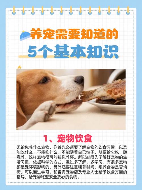 宠物医院常识,宠物医院常识大全-第6张图片-牛逼常识网 宠物医院常识,宠物医院常识大全-第6张图片-牛逼常识网